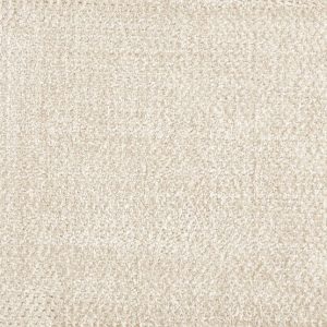 Auburn-Chamois Carpet 