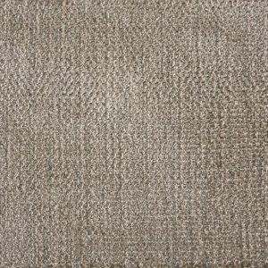 Auburn-Fossil Carpet 
