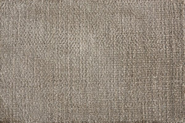 Auburn-Fossil Carpet 