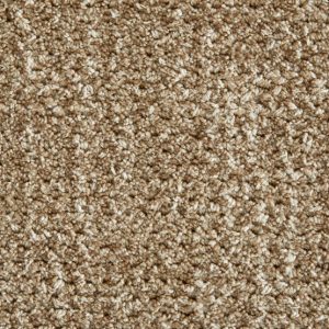 Auburn-Taupe Carpet 