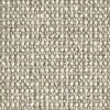 Barrier-Etched Pewter Carpet 