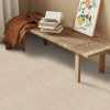 Barrier-Etched Pewter Carpet 