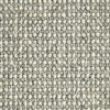 Barrier-Silver Carpet 