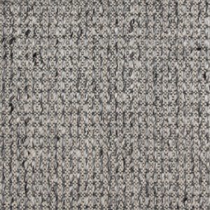 Barron-Fossil Carpet 