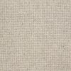 Brewer-Canvas Carpet 