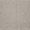 Brewer-Silver Carpet 