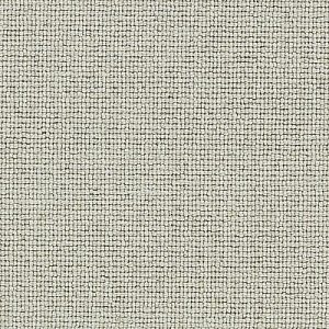 Brookfield-Weathered White Carpet 