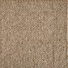 Buddha-Bark Carpet 