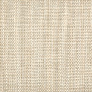 Cable Beach-Sand Indoor / Outdoor, stantoncarpet 