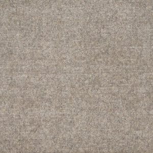 Cambria-Shadow Carpet 
