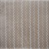 Candid-Parchment Carpet 