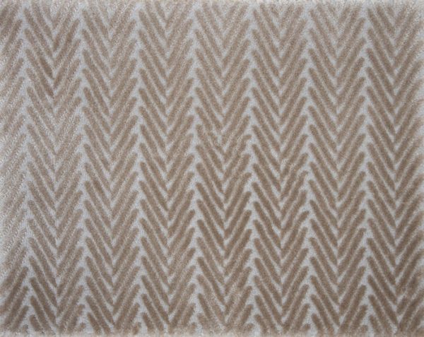 Candid-Parchment Carpet 