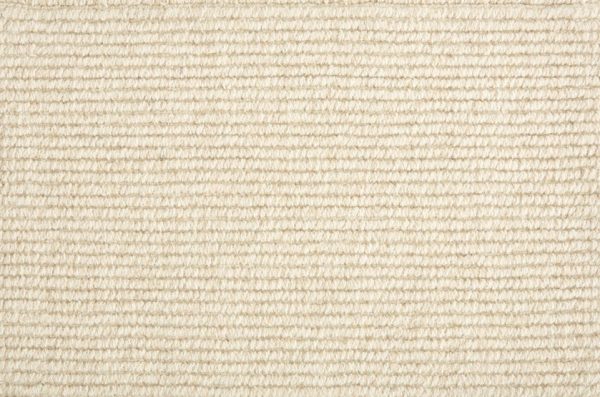 Clarity-Cream Carpet 