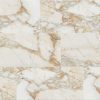 Classica-Calacatta Gold Porcelain, Tiles 