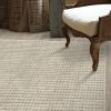 Dani-Mist Carpet 