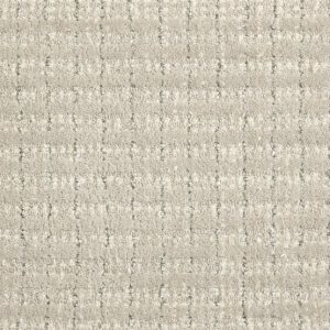 Dani-Dove Commercial Carpet, stantoncarpet 