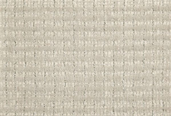 Dani-Dove Commercial Carpet, stantoncarpet 