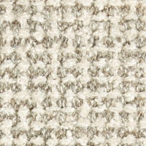 Dreamer-Fossil Carpet 