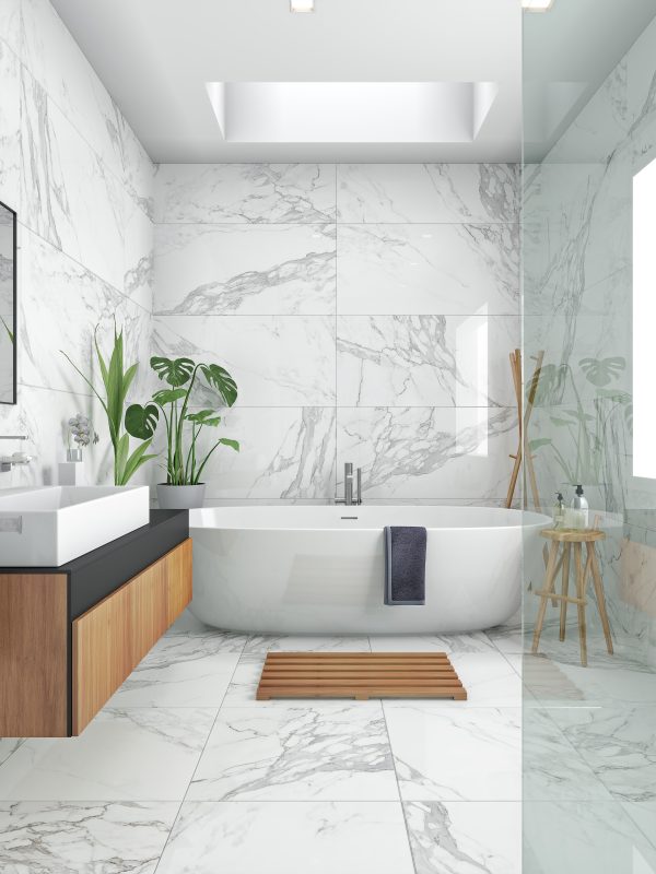 Eternal Matte 24x48-White Porcelain, Tiles 