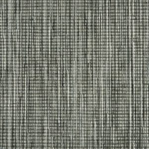 Enlighten-Coal Carpet 
