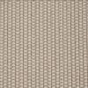 Eternal-Desert Carpet 