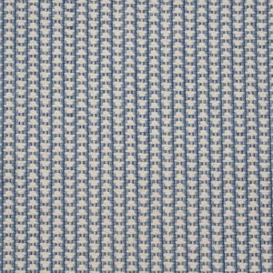 Eternal-Indigo Carpet 