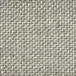 Eureka-Platinum Carpet 