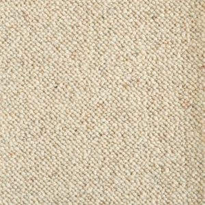 Everglades-Sundance Carpet 