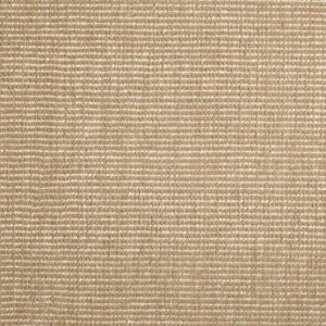 Ezra-Canvas Carpet 