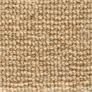 Forester-Beige Carpet 