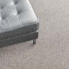 Freehold-Limestone Commercial Carpet, stantoncarpet 