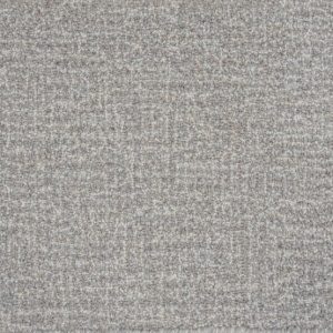 Gavina-Fossil Carpet 