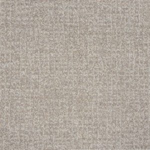 Gavina-Khaki Carpet 