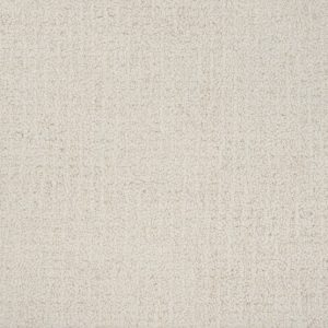 Gavina-Natural Carpet 