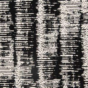 Gotham Vanish-Onyx Carpet Gotham Vanish-Onyx Carpet