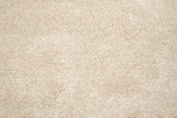 Grail-Cream Carpet 