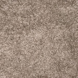Grail-Mocha Carpet 