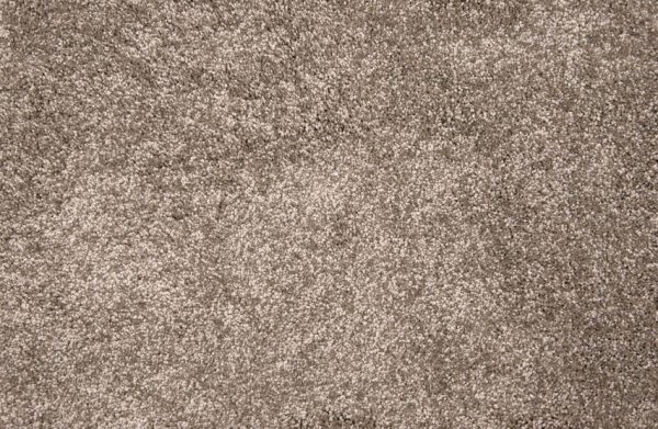 Grail-Mocha Carpet 