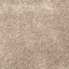 Grail-Shell Carpet 