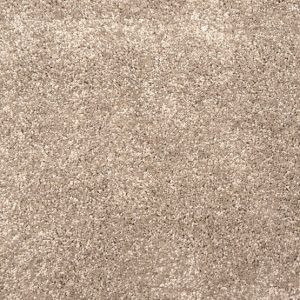 Grail-Shell Carpet 