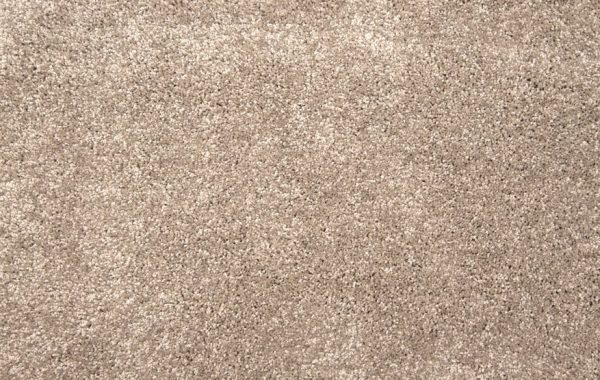 Grail-Shell Carpet 