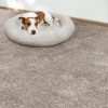 Grail-Mocha Carpet 