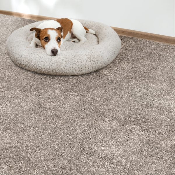 Grail-Mocha Carpet 
