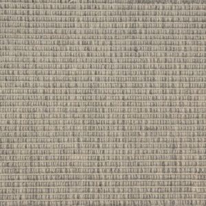 Guru-Fossil Carpet 
