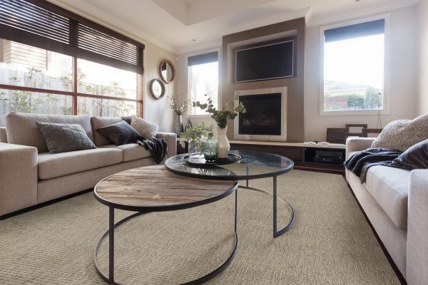 Guru-Greige Carpet 