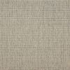 Guru-Greige Carpet 