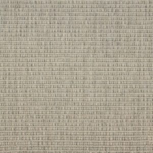 Guru-Greige Carpet 