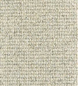 Hillburn-Fossil Carpet 