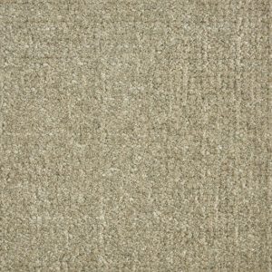 Homestead-Shadow Commercial Carpet, stantoncarpet 