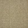Homestead-Taupe Carpet 